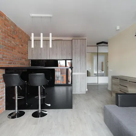 Warta River Loft Apartment Posen Exterior foto